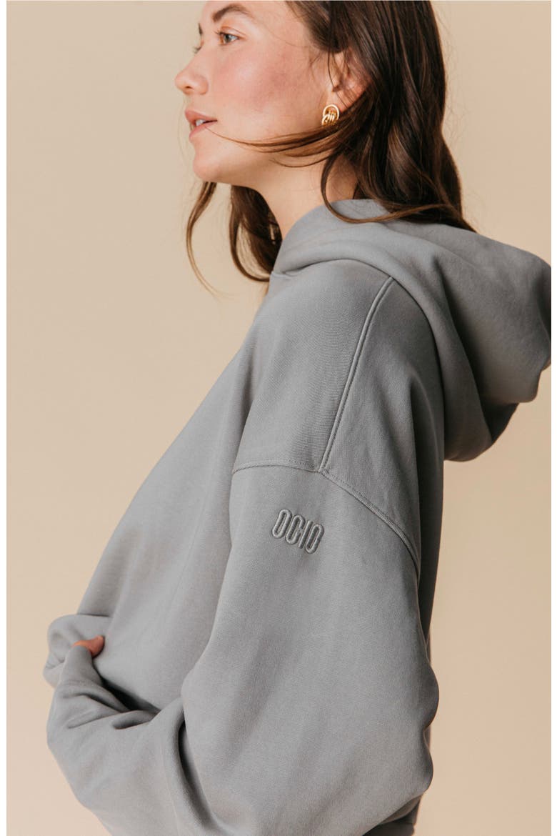 Women's Organic Cotton Teddy Oversized Hoodie, Alternate, color, Ash