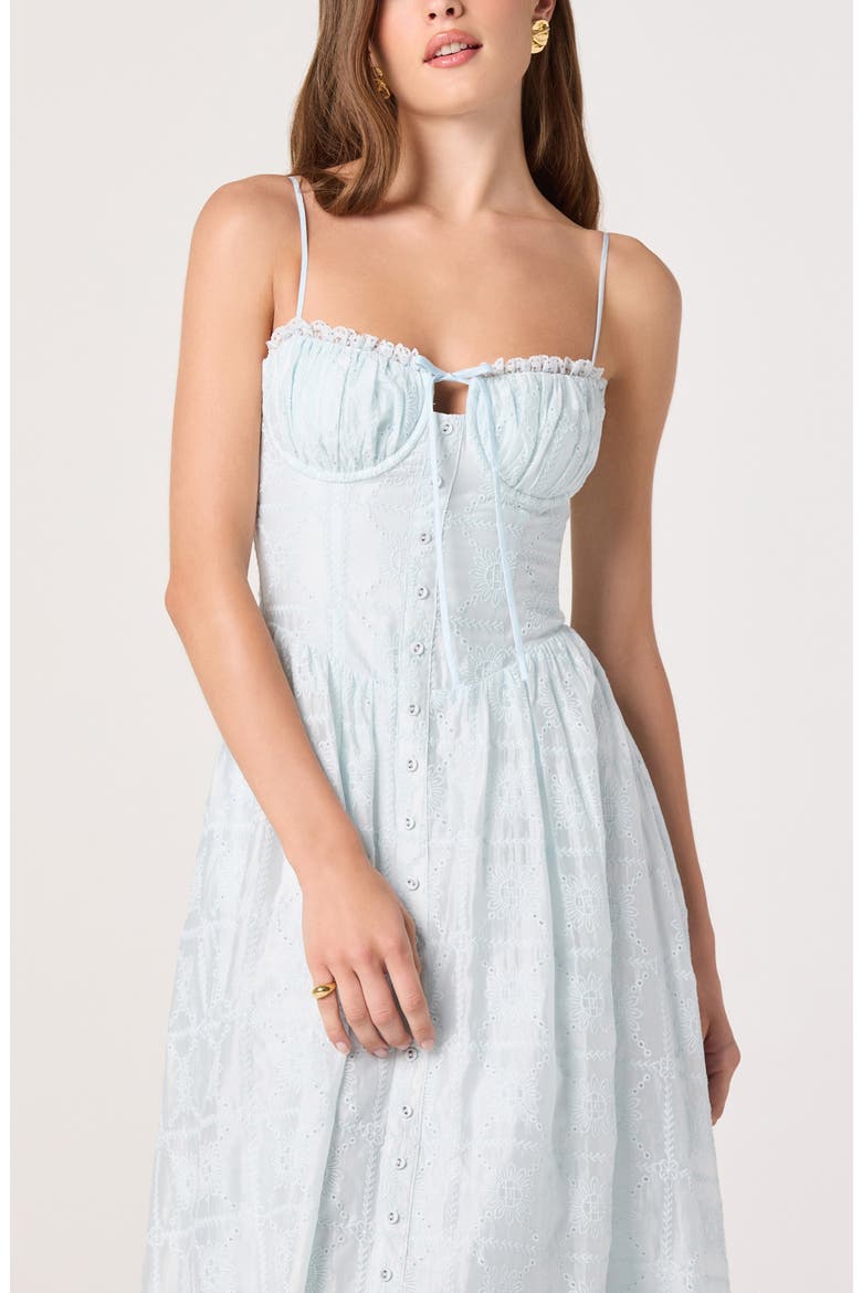 Aubrey Embroidered Sleeveless Maxi Dress, Alternate, color, POWDER BLUE