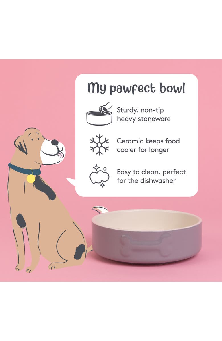 MASON CASH Embossed 17oz Bone Dog Food and Water Bowl, Alternate, color,