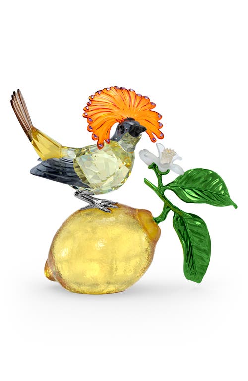 Swarovski Idyllia Royal Flycatcher Crystal Figurine In Multicolored