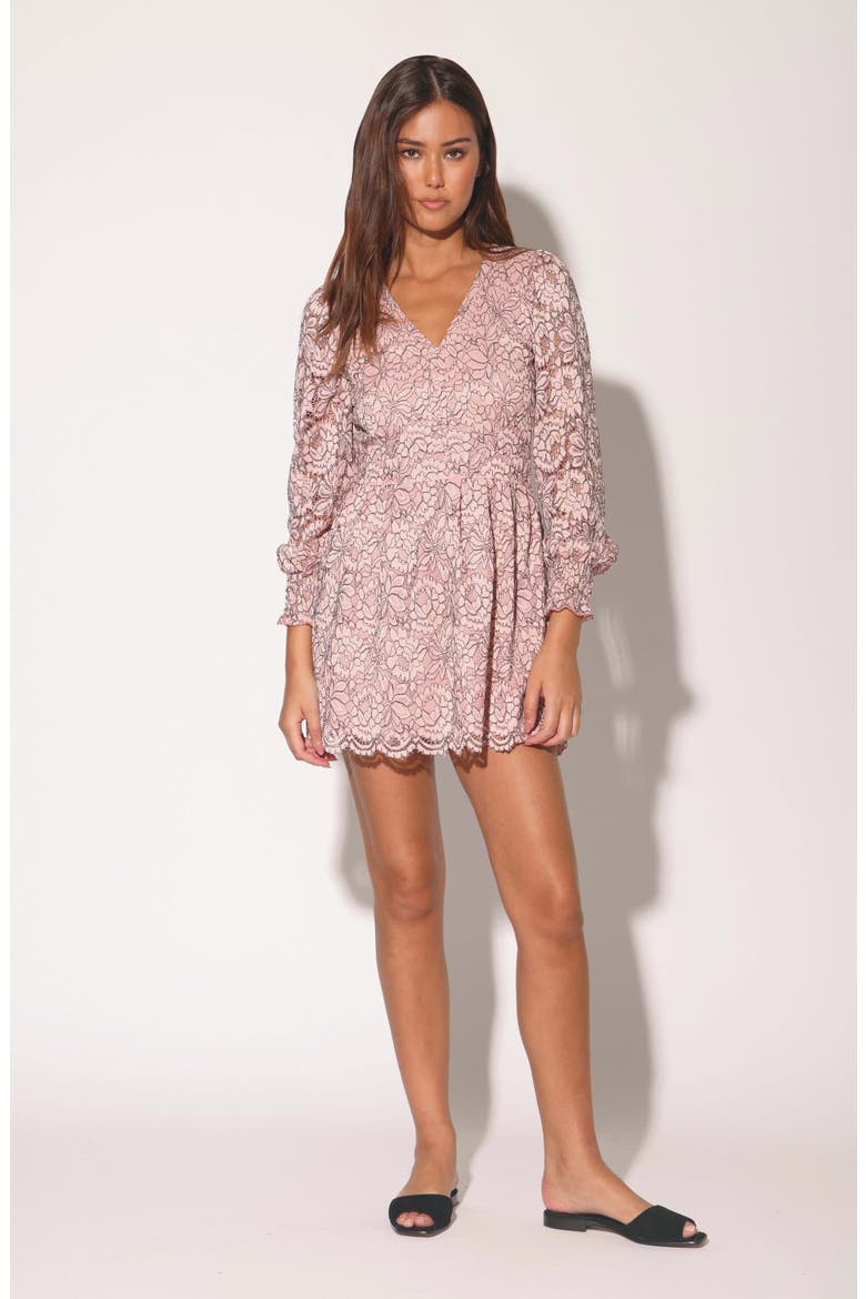 Adaline Floral Lace Long Sleeve Dress, Alternate, color, WINDSOR LACE BLUSH