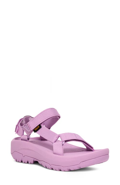 Teva Hurricane Xlt 2 Ampsole Sandal In Lupine