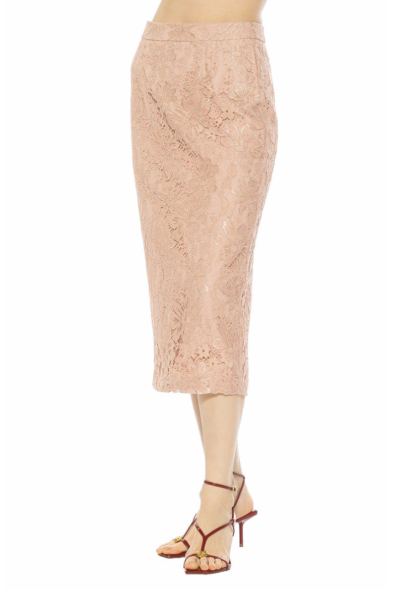 Taye Lace Midi Pencil Skirt, Alternate, color, PINK