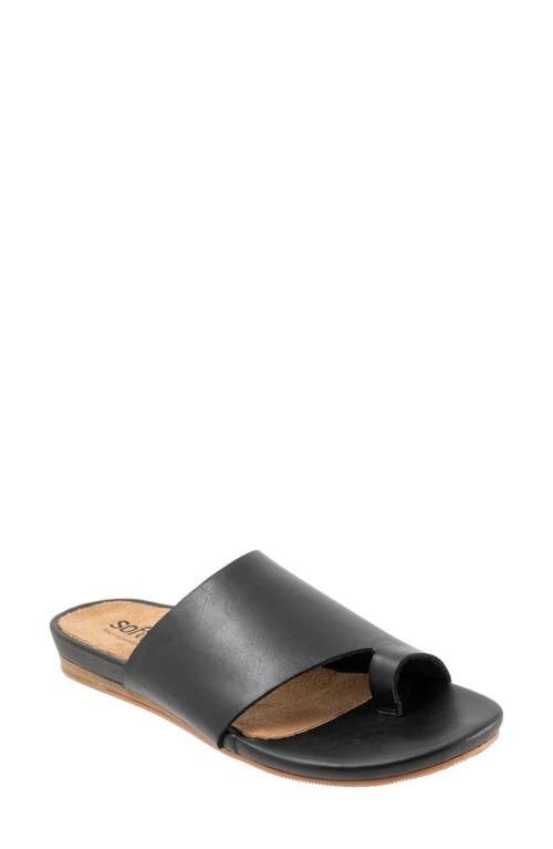 SoftWalk® Corsica 2.0 Toe Loop Sandal in Black at Nordstrom, Size 10.5