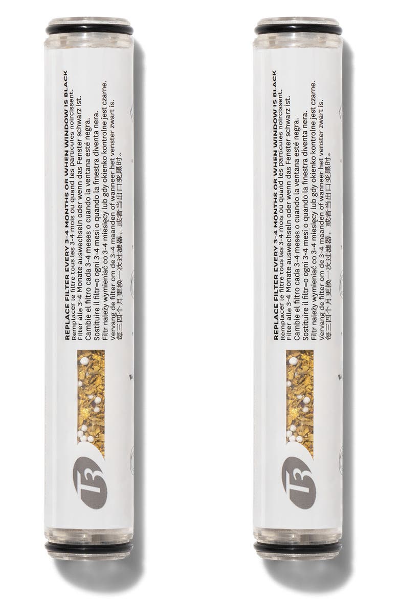 T3 Source 2-Pack Hand-Held Replacement Filter, Main, color,