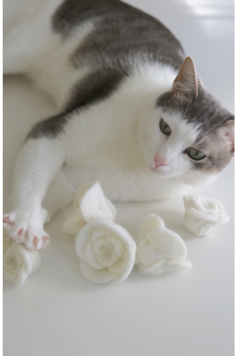 Flora Eterna Cat Toy, Alternate, color, WHITE
