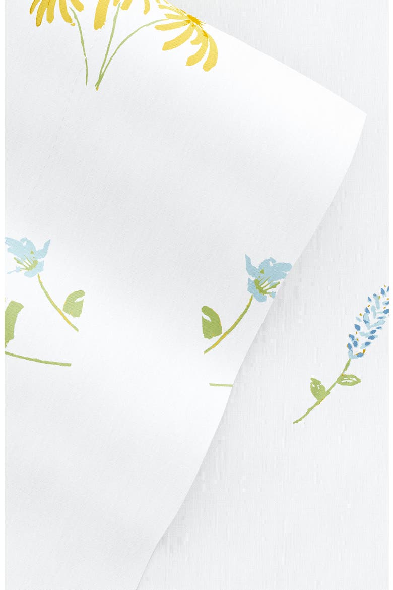 HOME SPUN Premium Ultra Soft Bluebirds 4-Piece Sheets Set, Alternate, color, LIGHT BLUE