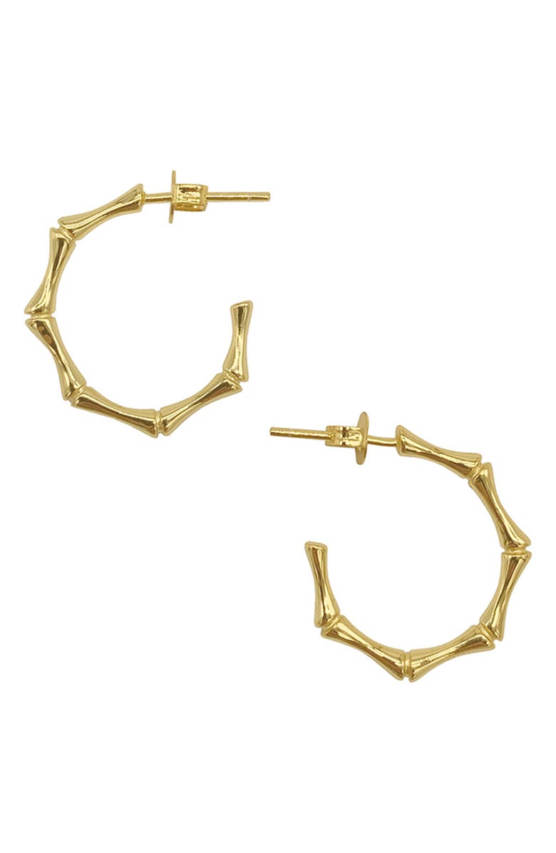 Adornia Bamboo Shaped Hoop Earrings, Main, color, 