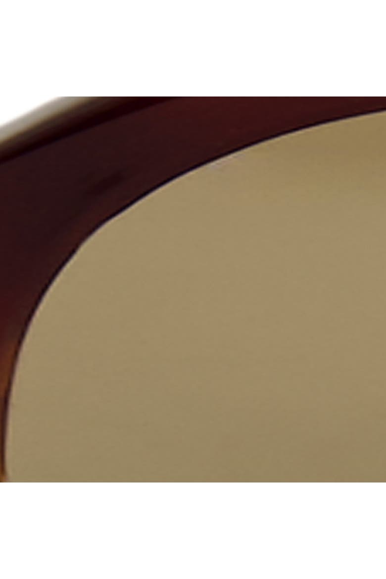D-frame Sunglasses, Alternate, color, TORTOISESHELL