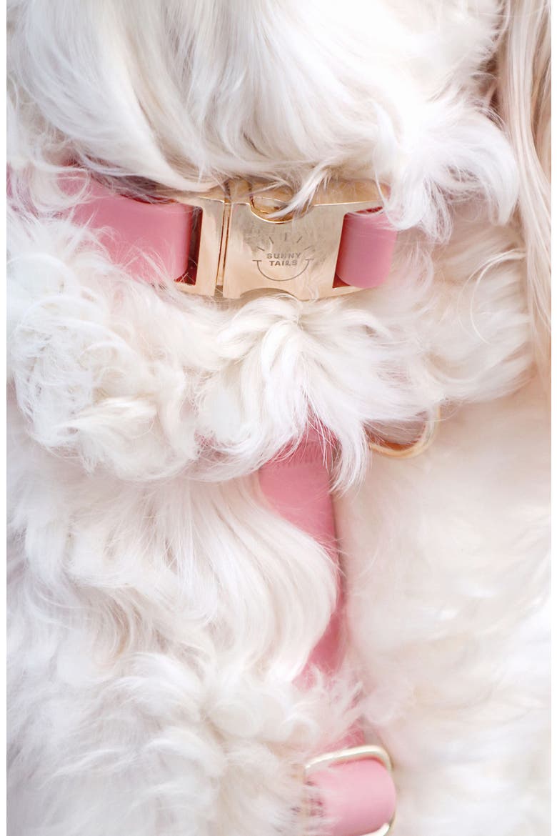 Cloud Waterproof Dog Collar, Alternate, color, PERFECT PINK