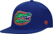TOP OF THE WORLD Men's Top of the World Royal Florida Gators Team Color Fitted Hat