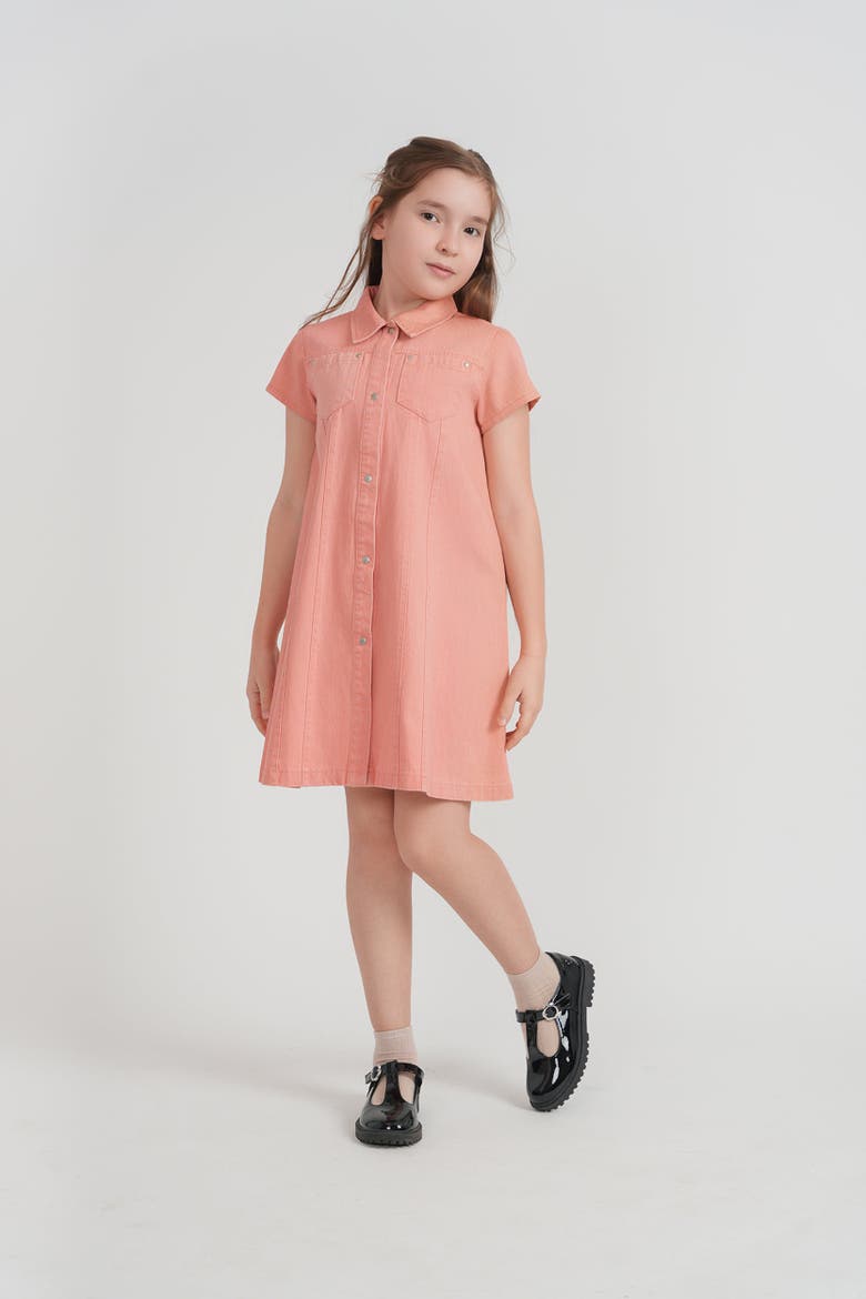 Embroidered Snap Front Patch Pocket Denim Dress, Alternate, color, Light Denim