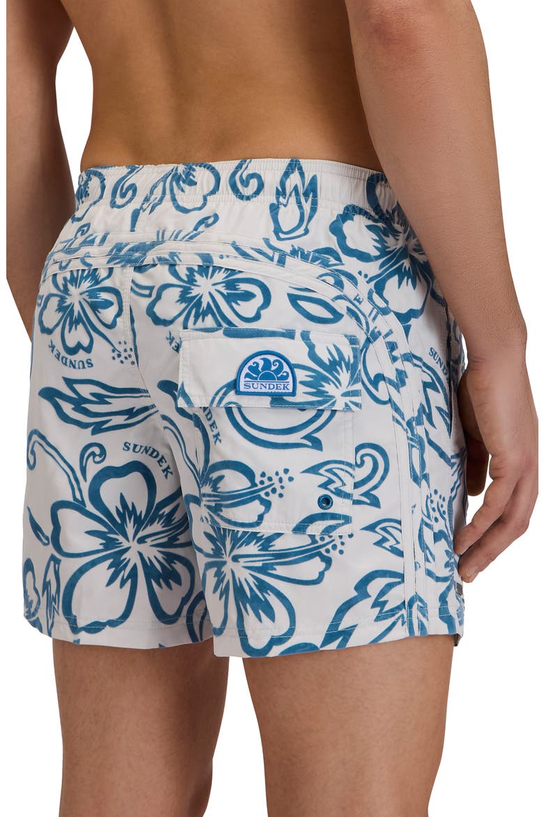 Print Swim Trunks, Alternate, color, GHOST