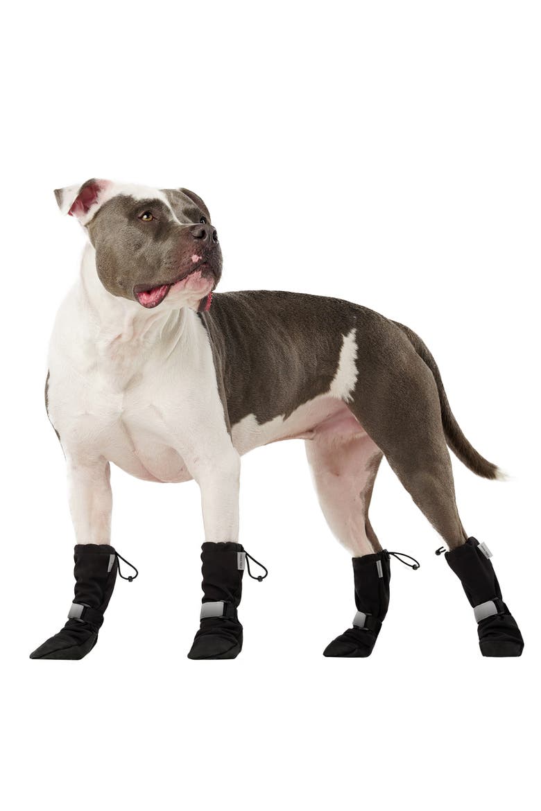 Set of 4 Soft Shield Paw Boots, Alternate, color, BLACK