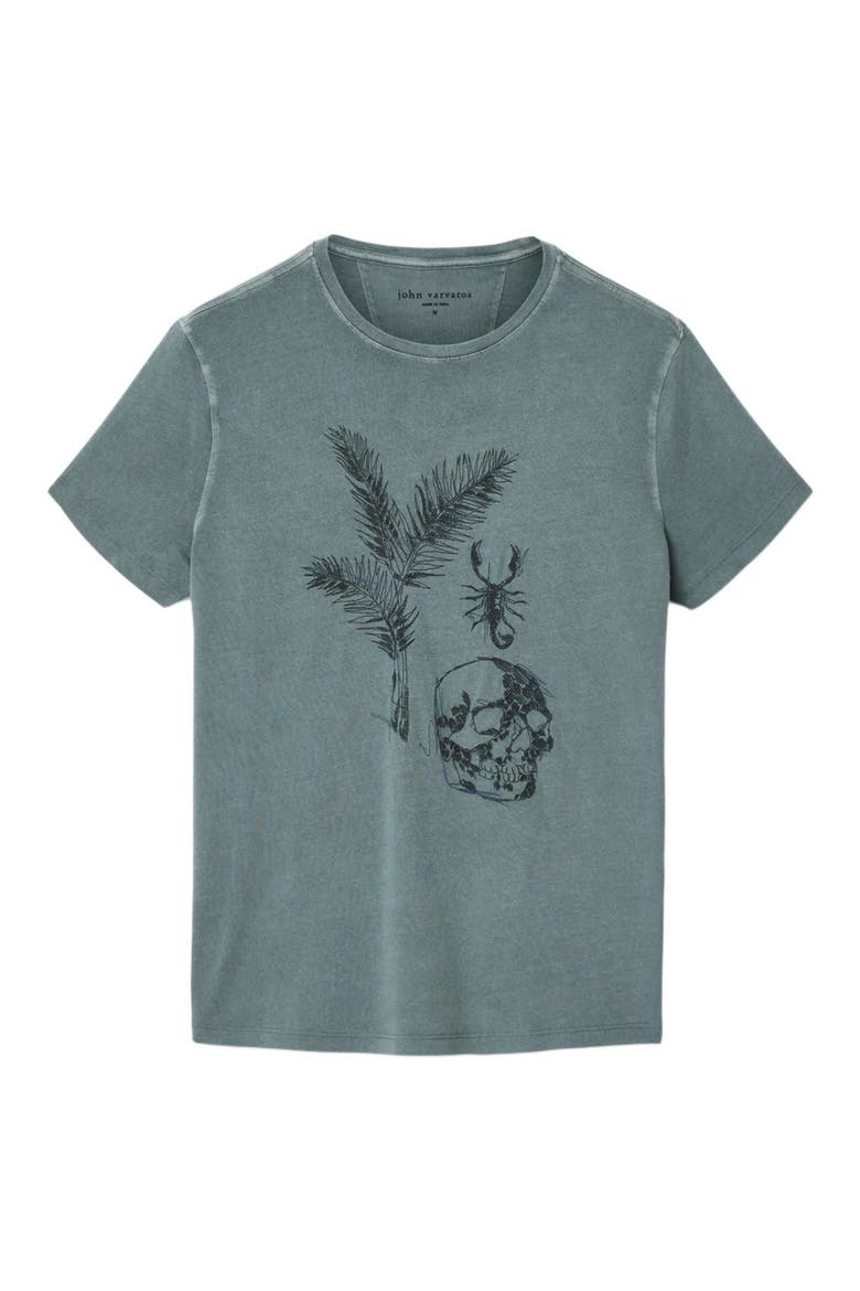 Skull & Scorpion Embroidered Organic Cotton T-Shirt, Alternate, color, FOG