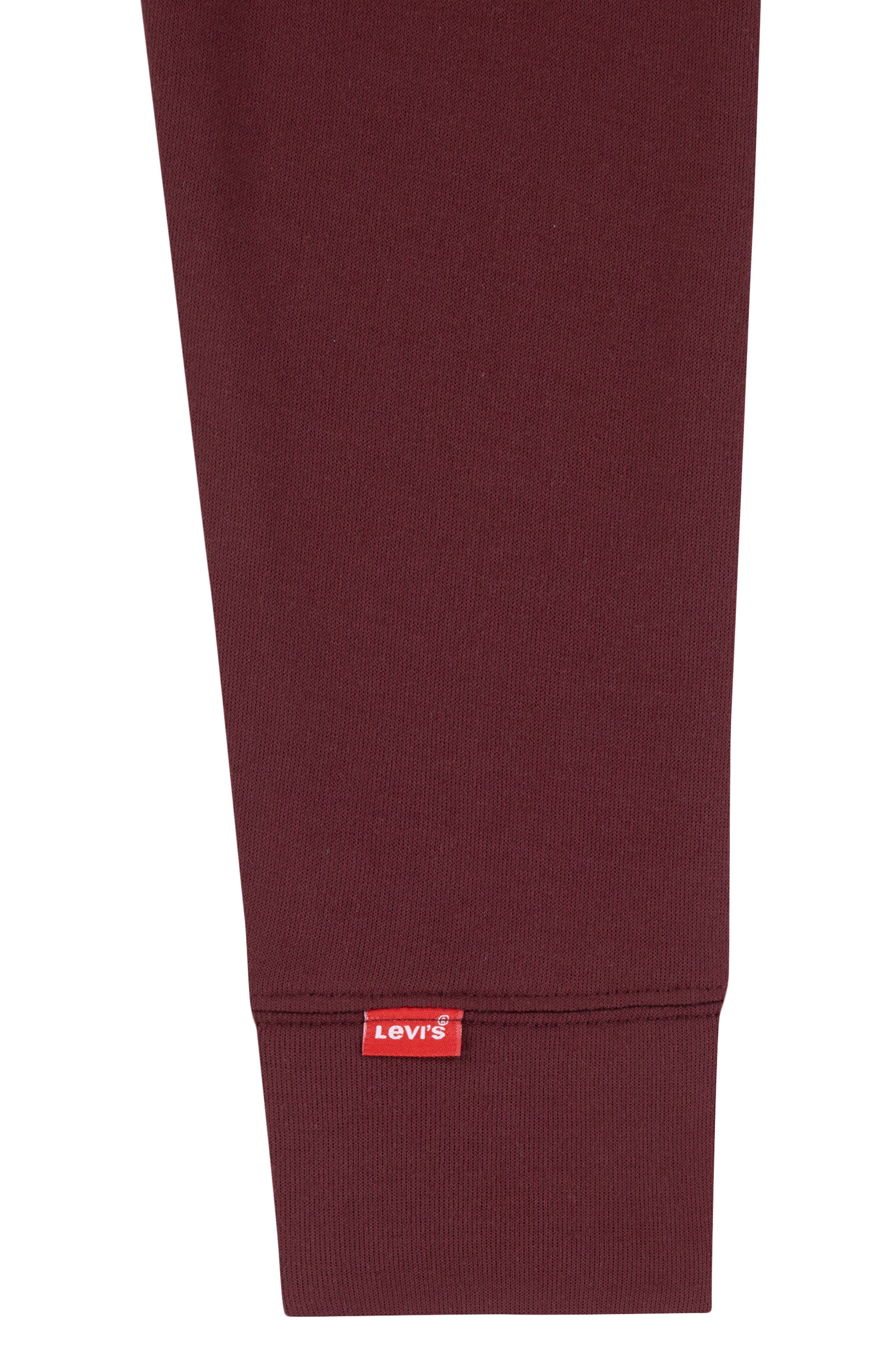 Levi's Kids' Relaxed Core Hoodie | Nordstromrack