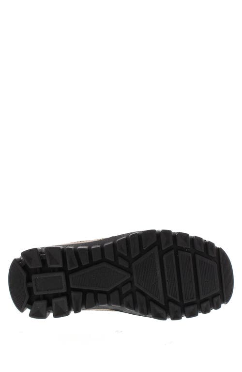 Deer Stags Stadium Slip-on Shoe In Brown