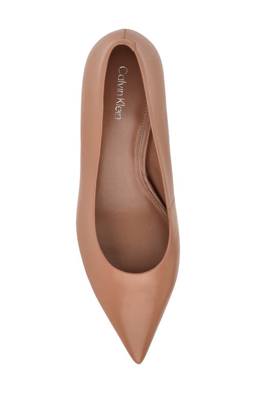 Calvin Klein Voneta Pointed Toe Kitten Heel Pump In Brown