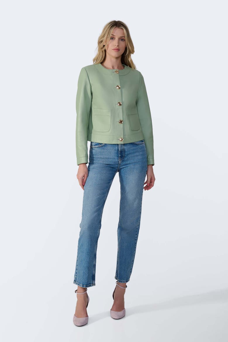 Margot Leather Jacket, Alternate, color, Light Green