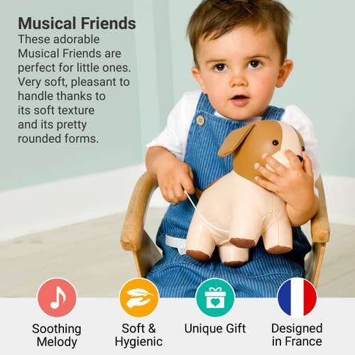 Little Big Friends Musical Animals In Multi