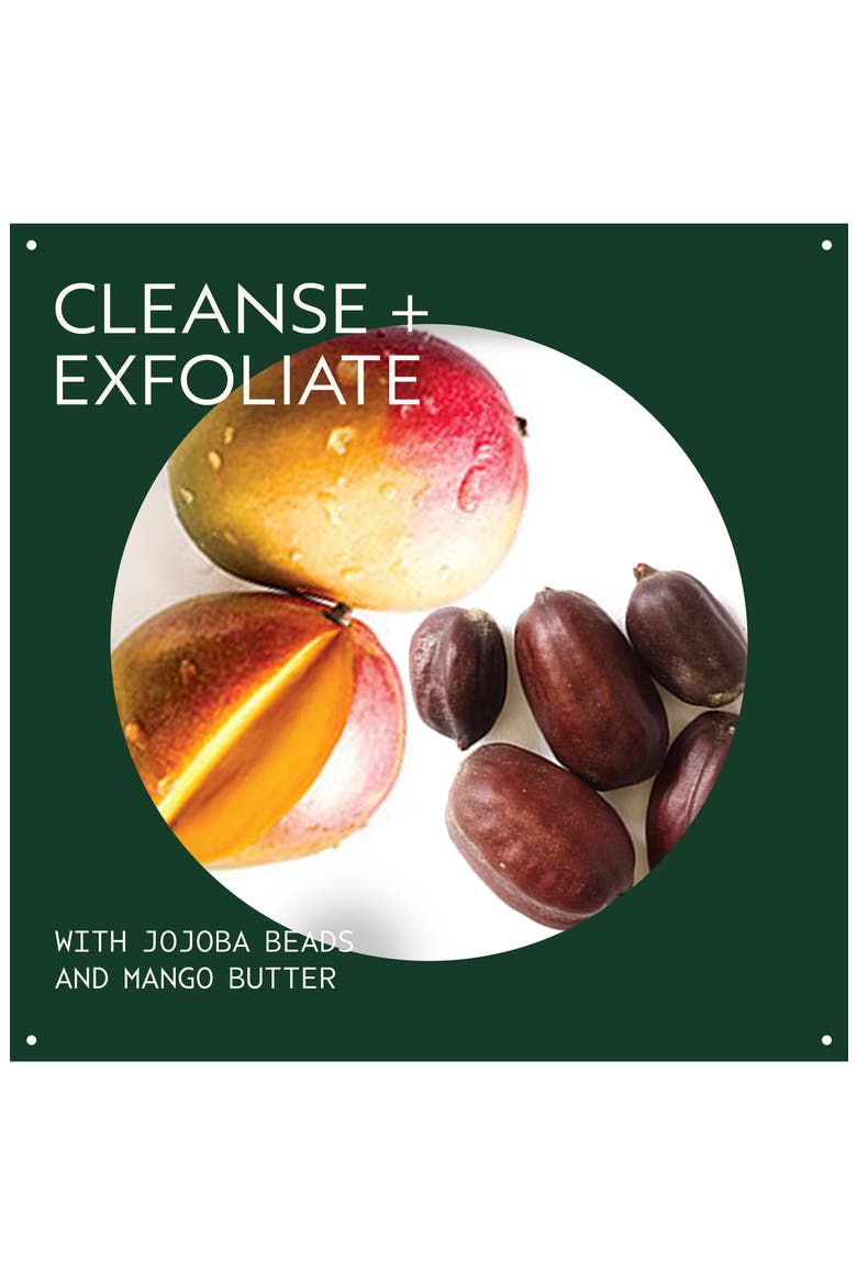 botanical kinetics™ Exfoliating Creme Cleanser, Alternate, color, NO COLOR