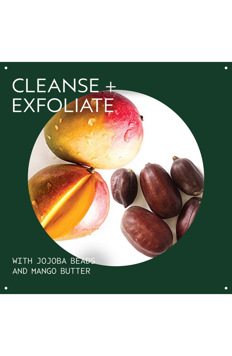 Aveda botanical kinetics<sup>™</sup> Exfoliating Creme Cleanser, Alternate, color, 
