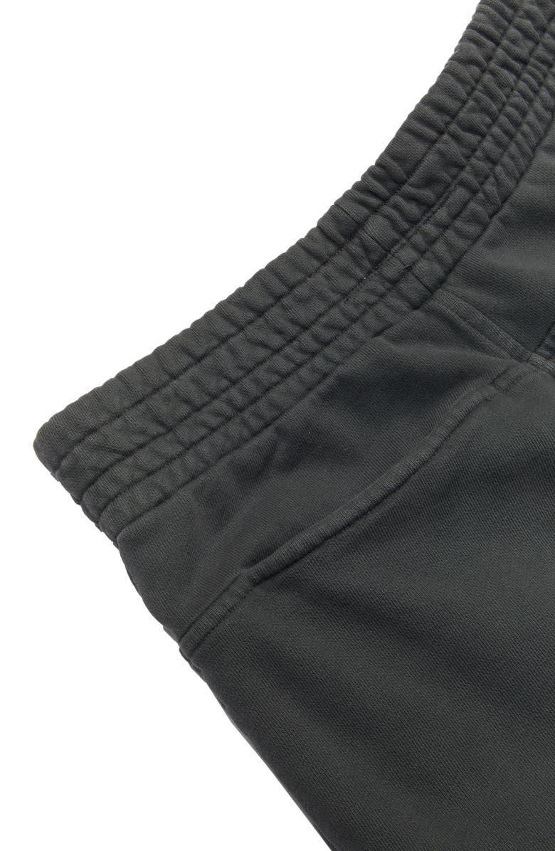 Darryl Brown Gym Pants, Alternate, color,