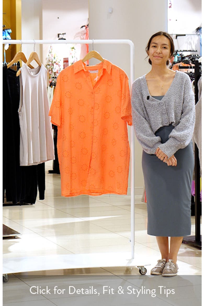 Norah Embroidered Cotton Mini Shirtdress video