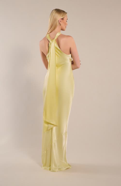 Rewritten Roma Halterneck Dress