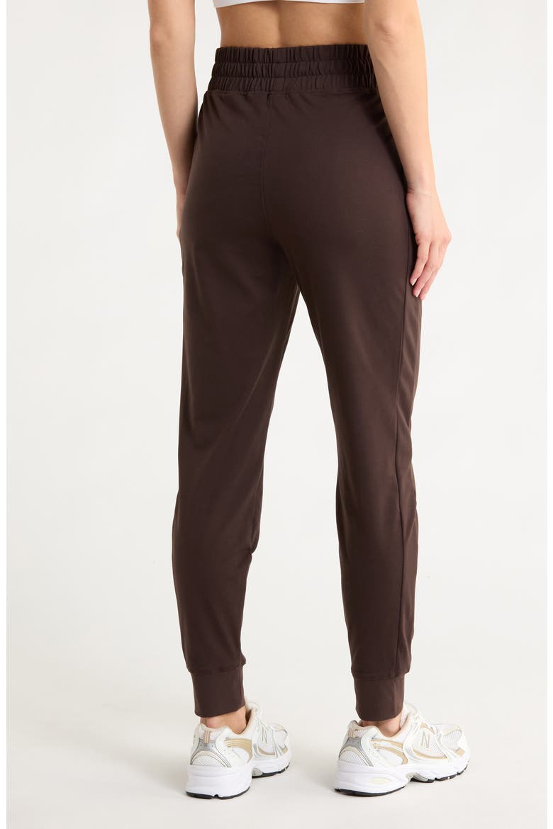 Lux District Zip Pocket Joggers, Alternate, color, CHOCOLATE TORTE