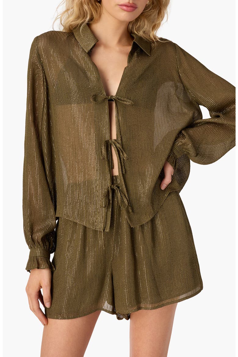 Niecey Long Sleeve Metallic Chiffon Top, Main, color, GROVE