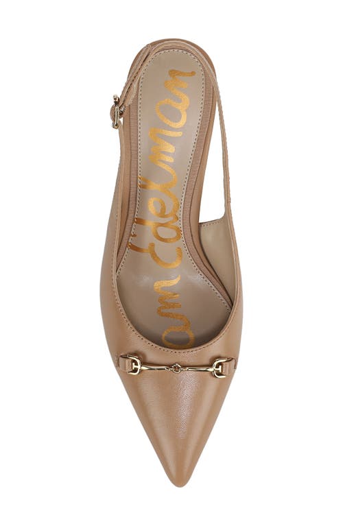 Sam Edelman Waller Pointed Toe Slingback Pump