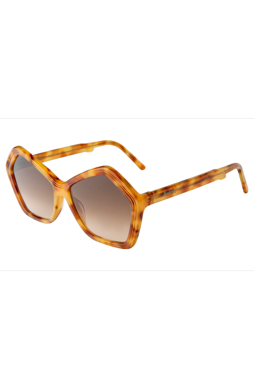 Illesteva Barbra Sunglasses In Brown