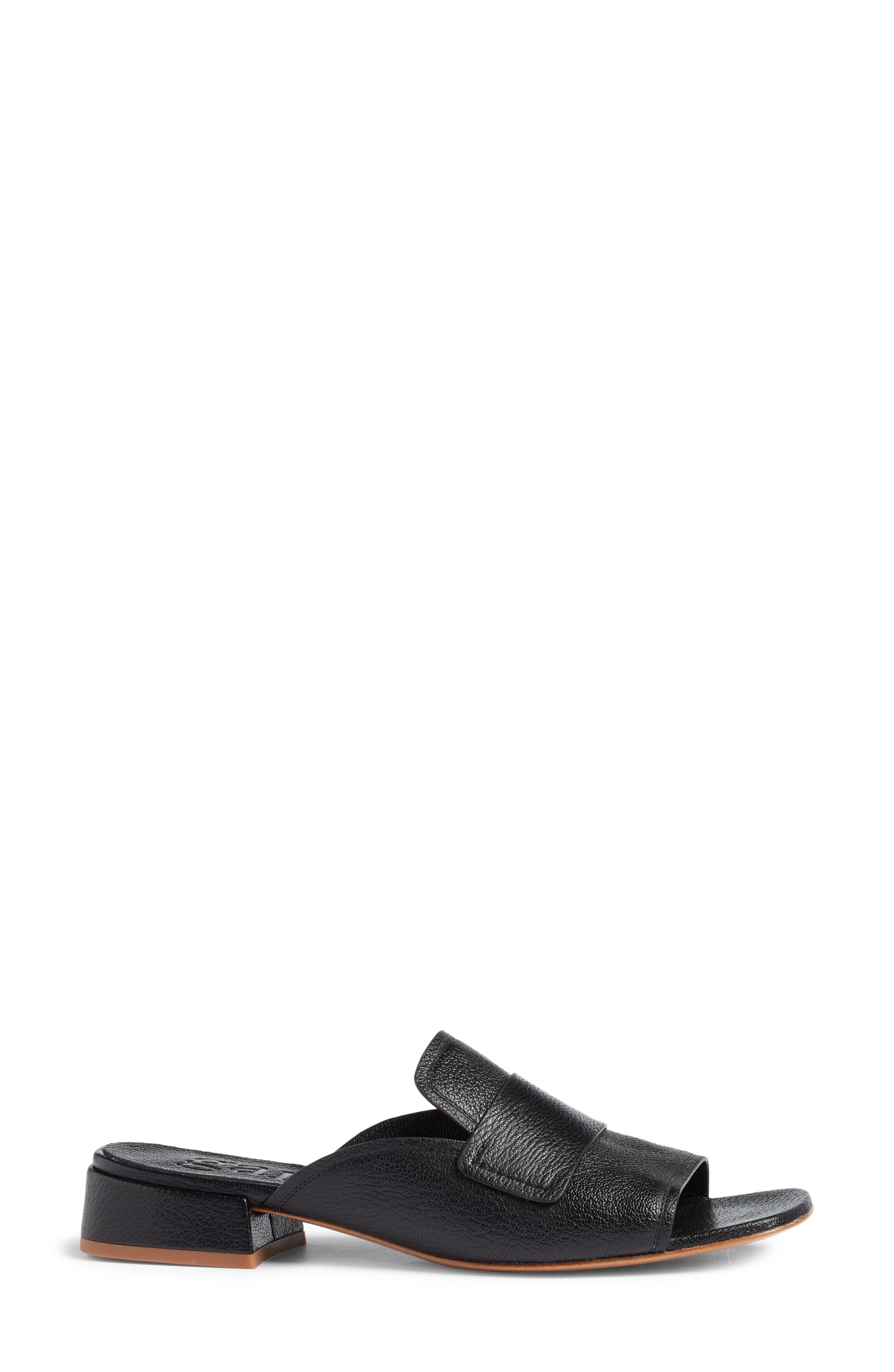 Ebba Slide Sandal, Alternate, color, BLACK PETITGRAIN