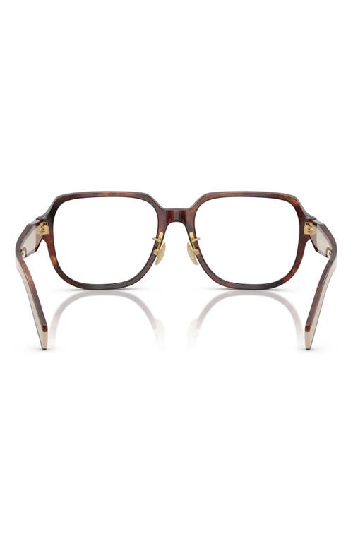 Prada 56mm Pillow Optical Glasses In Caramel