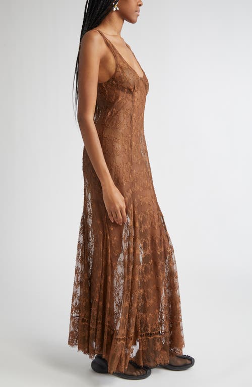 Collina Strada Pamela Sheer Lace Slipdress In Brown