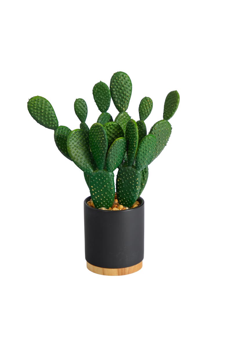 NEARLY NATURAL 10-in Cactus Succulent Artificial Plant in Planter, Main, color, Green