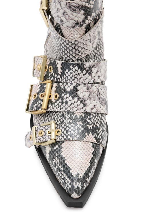Allsaints Jane Buckle Pointed Toe Boot In Flow Ecru White
