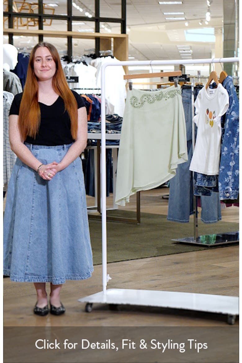 Pappilion Embroidered Asymmetric Chiffon Skirt video