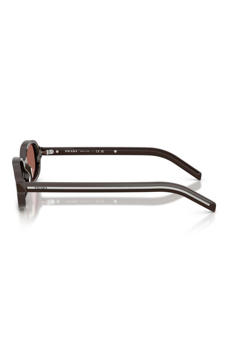 52mm Oval Sunglasses, Alternate, color, CIGAR / BROWN