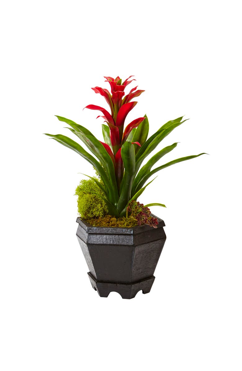 NEARLY NATURAL Bromeliad in Black Hexagon Planter, Main, color, Red