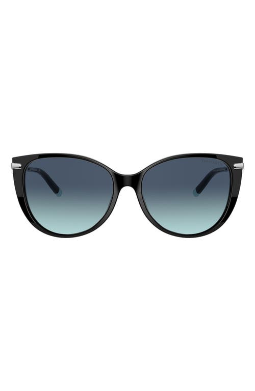 Tiffany & Co. 57mm Gradient Cat Eye Sunglasses in Black/Azure Gradient Blue 