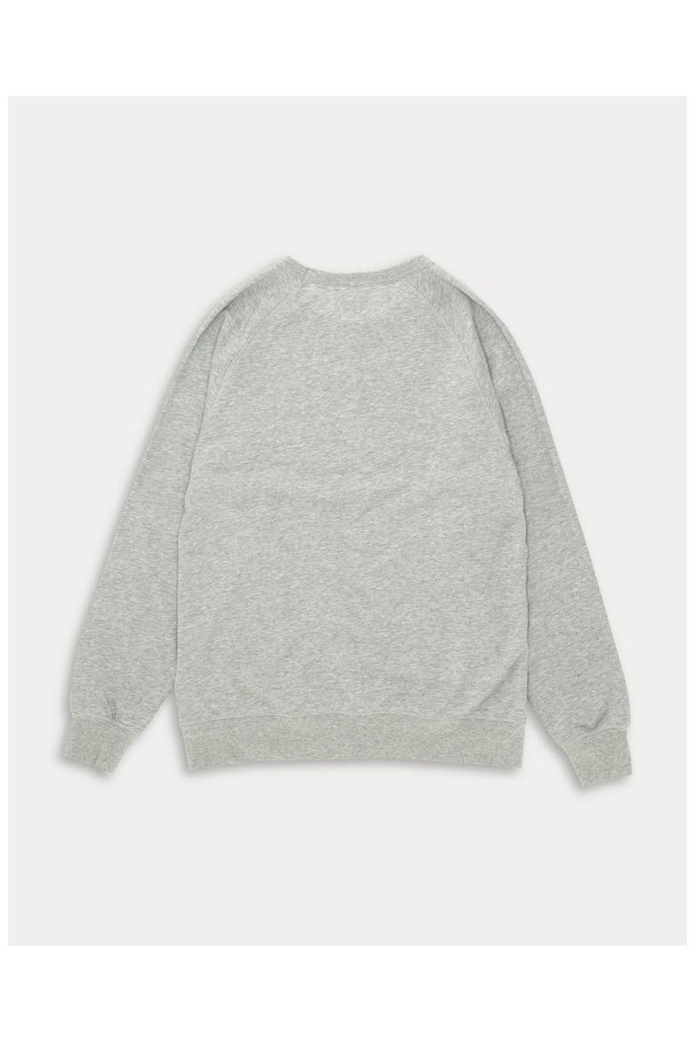 Jacobs Raglan Cut Crewneck Sweatshirt, Alternate, color, Melange Grey