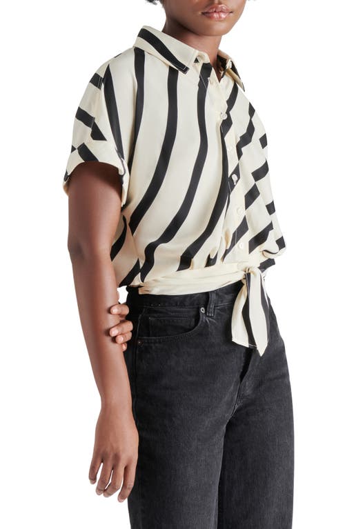 Steve Madden Tori Stripe Short Sleeve Tie Front Shirt In White