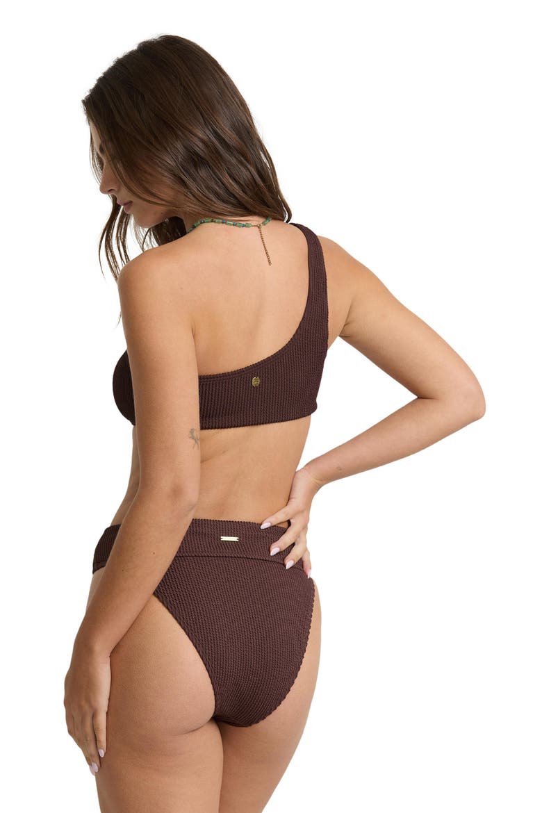 Summer Hi Aruba High Waist Swim Briefs, Alternate, color, TEAK