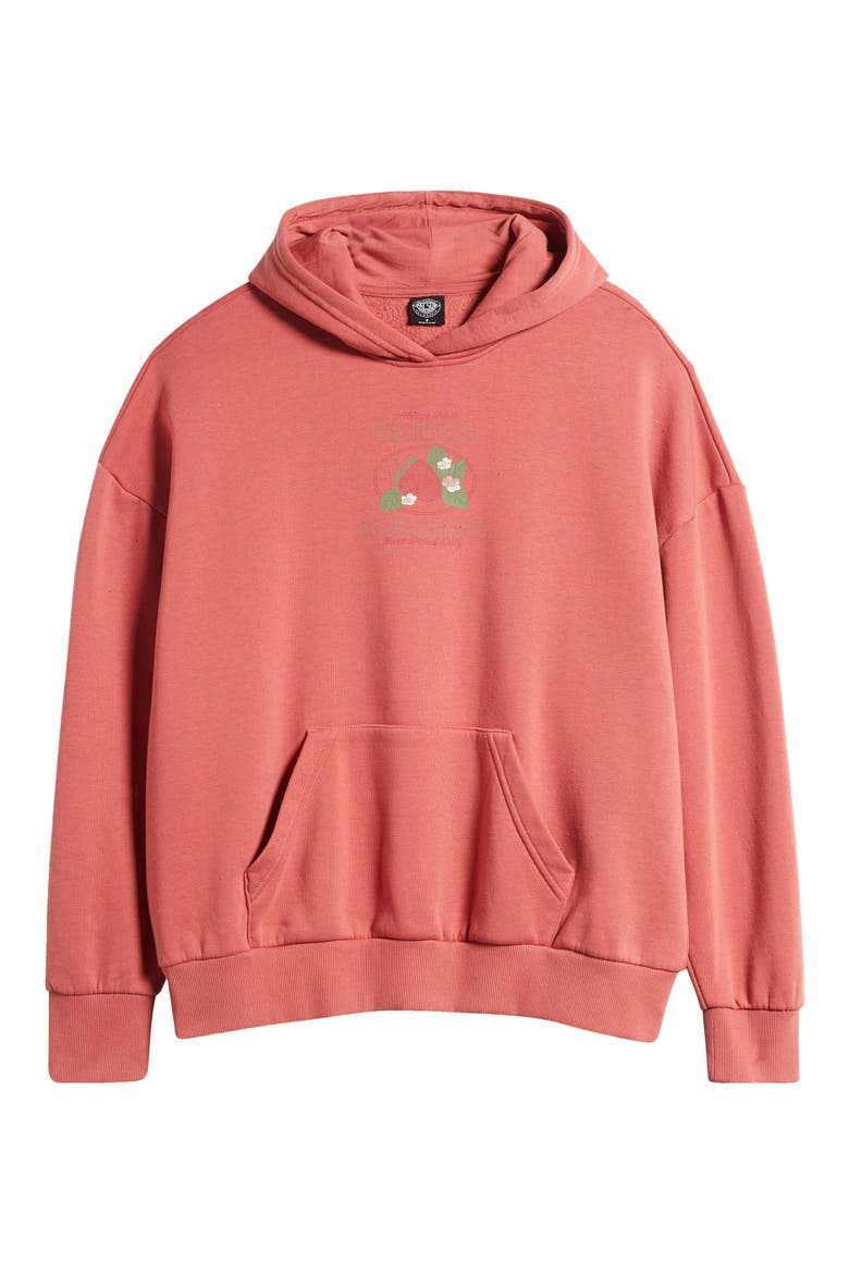 Delicious Cotton Blend Hoodie, Alternate, color, DUSTY CEDAR