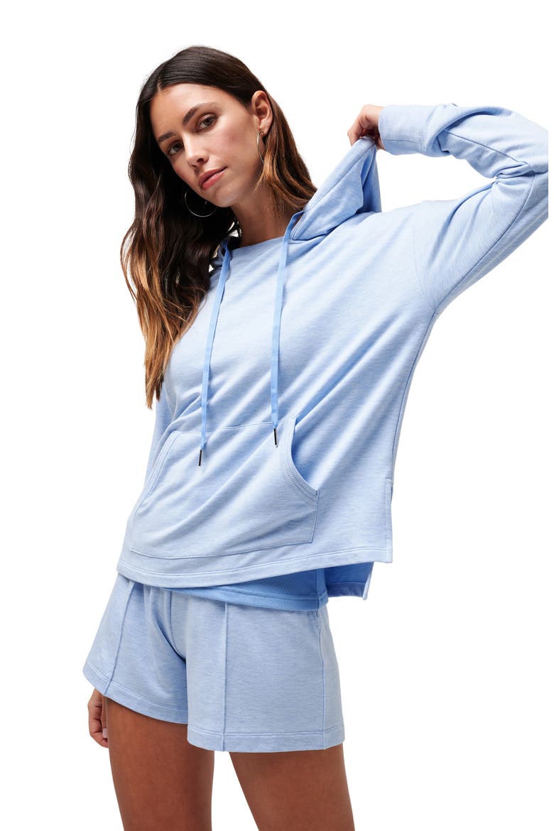 Hidden Gems Hoodie, Alternate, color, HEATHER AZURINE