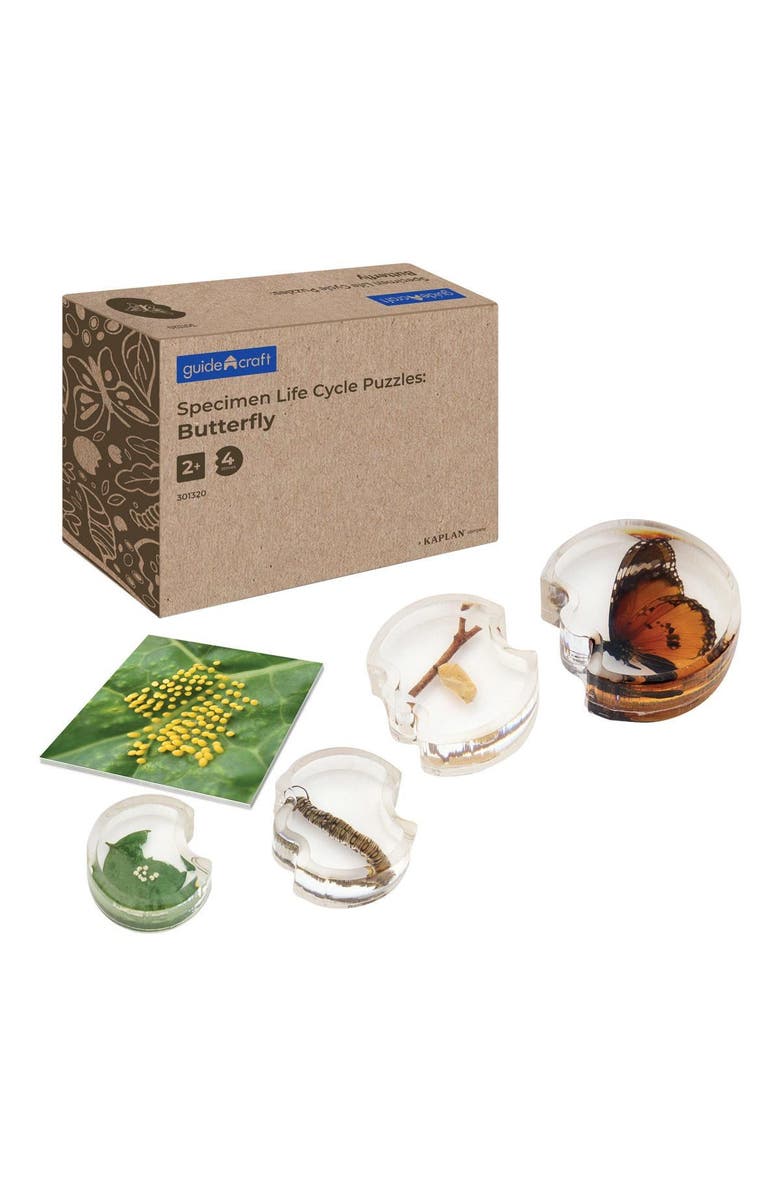 Kaplan Early Learning Company Specimen Life Cycle Puzzle - Butterfly, Main, color, Multicolored