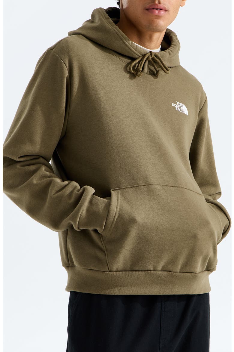 Evolutionm Box NSE Pullover Hoodie, Main, color, CARAWAY SEED