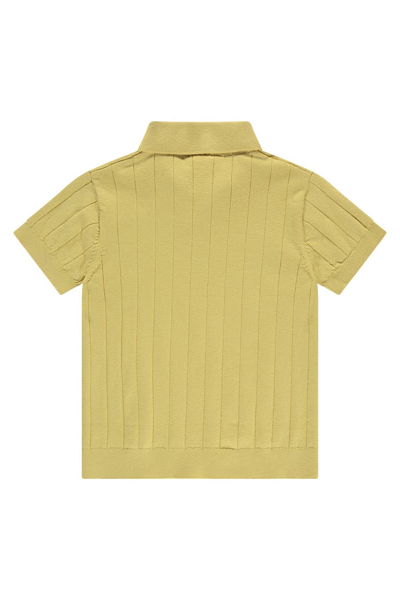 Ribbed Short Sleeve Polo, Alternate, color, Lemon